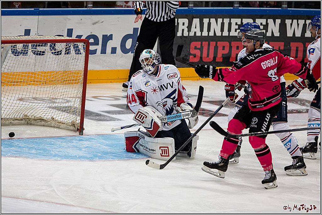 Koelner Haie - Adler Mannheim, 30.10.2016